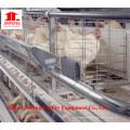 Neuer Entwurf / automatische Geflügel-Landwirtschafts-Ausrüstung für Schicht-Hühnerkäfig